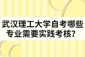 武漢理工大學(xué)自考哪些專業(yè)需要實踐考核？