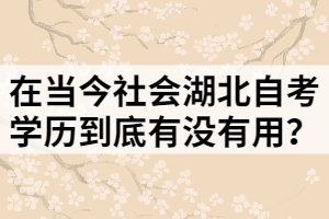 在當(dāng)今社會湖北自考學(xué)歷到底有沒有用？