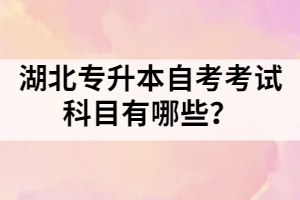 湖北專升本自考考試科目有哪些？