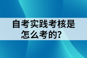 自考實(shí)踐考核是怎么考的？