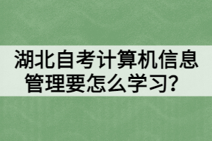 湖北自考計(jì)算機(jī)信息管理要怎么學(xué)習(xí)？