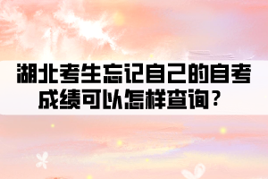 湖北考生忘記自己的自考成績可以怎樣查詢？