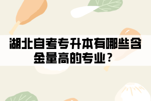 湖北自考專升本有哪些含金量高的專業(yè)？