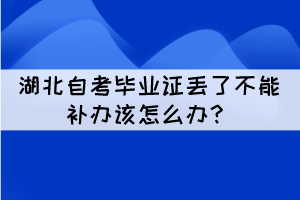 湖北自考畢業(yè)證不可以補(bǔ)辦該怎么辦