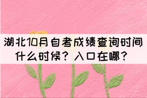 湖北10月自考成績查詢時間什么時候？入口在哪？