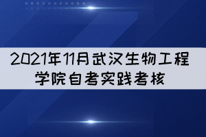 2021年11月武漢生物工程學(xué)院自考實(shí)踐考核考生須知