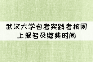 2022年上半年武漢大學(xué)自考實(shí)踐考核網(wǎng)上報(bào)名及繳費(fèi)時(shí)間