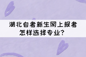 湖北自考新生網(wǎng)上報(bào)考怎樣選擇專業(yè)？