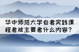 華中師范大學(xué)自考實(shí)踐課程考核主要考什么內(nèi)容？