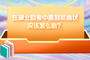 在湖北自考中遇到緊急狀況該怎么辦？