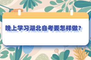 晚上學(xué)習(xí)湖北自考要怎樣做？