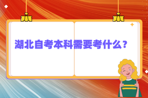 湖北自考本科需要考什么？