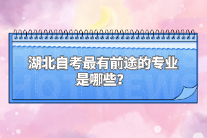 湖北自考最有前途的專業(yè)是哪些？