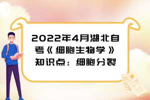 2022年4月湖北自考《細(xì)胞生物學(xué)》知識(shí)點(diǎn)：細(xì)胞分裂