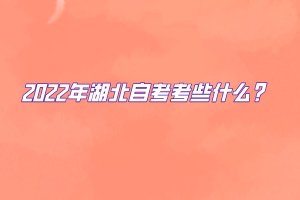 2022年湖北自考考些什么？