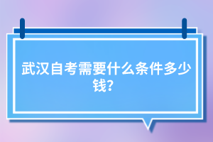 武漢自考需要什么條件多少錢？