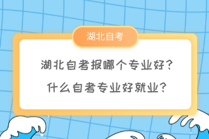 湖北自考報哪個專業(yè)好？什么自考專業(yè)好就業(yè)？