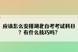 應(yīng)該怎么安排湖北自考考試科目？有什么技巧嗎？