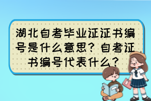 湖北自考畢業(yè)證證書編號是什么意思？自考證書編號代表什么？