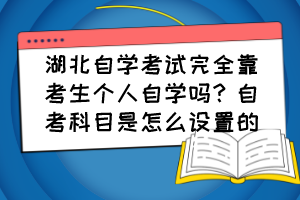 湖北自學考試完全靠考生個人自學嗎？自考科目是怎么設置的？