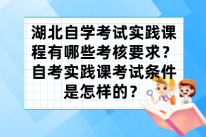 湖北自學考試實踐課程有哪些考核要求？自考實踐課考試條件是怎樣的？