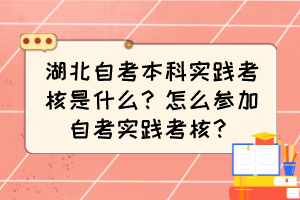 湖北自考本科實(shí)踐考核是什么？怎么參加自考實(shí)踐考核？