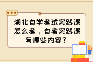 湖北自學考試實踐課怎么考，自考實踐課有哪些內(nèi)容？