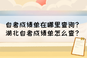 自考成績(jī)單在哪里查詢？湖北自考成績(jī)單怎么查？