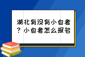 湖北有沒有小自考？小自考怎么報名？