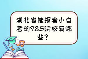 湖北省能報考小自考的985院校有哪些？