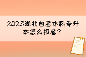 2023湖北自考本科專升本怎么報考？