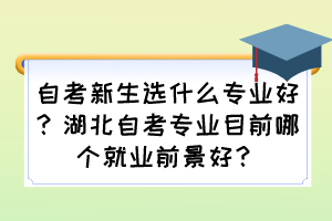 自考新生選什么專業(yè)好？湖北自考專業(yè)目前哪個(gè)就業(yè)前景好？