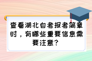 查看湖北自考報考簡章時，有哪些重要信息需要注意？