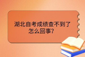 湖北自考成績查不到了怎么回事？