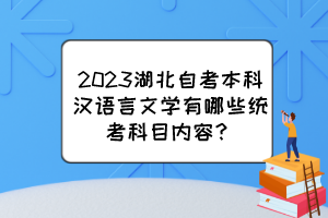 2023湖北自考本科漢語言文學(xué)有哪些統(tǒng)考科目內(nèi)容？