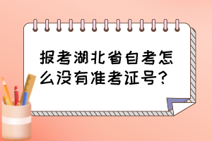 報(bào)考湖北省自考怎么沒有準(zhǔn)考證號(hào)？