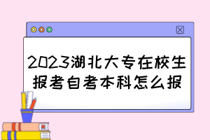 2023湖北大專在校生報(bào)考自考本科怎么報(bào)？