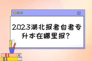 2023湖北報考自考專升本在哪里報？