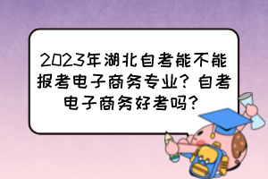 2023年湖北自考能不能報(bào)考電子商務(wù)專業(yè)？自考電子商務(wù)好考嗎？