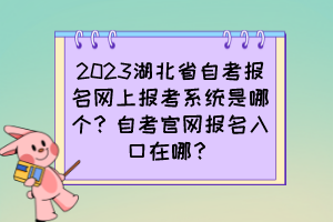 2023湖北省自考報名網(wǎng)上報考系統(tǒng)是哪個？自考官網(wǎng)報名入口在哪？