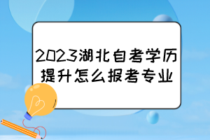 2023湖北自考學歷提升怎么報考專業(yè)？