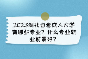 2023湖北自考成人大學(xué)有哪些專(zhuān)業(yè)？什么專(zhuān)業(yè)就業(yè)前景好？