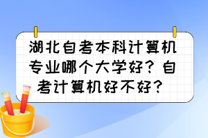 湖北自考本科計算機(jī)專業(yè)哪個大學(xué)好？自考計算機(jī)好不好？