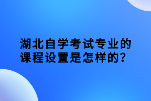 湖北自學考試專業(yè)的課程設(shè)置是怎樣的？