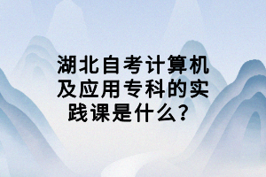 湖北自考計算機及應(yīng)用?？频膶嵺`課是什么？