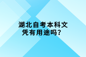 湖北自考文憑有用途嗎？