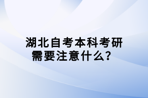 湖北自考本科考研需要注意什么？