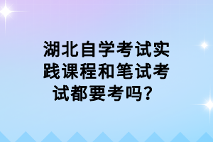 湖北自學(xué)考試實踐課程和筆試考試都要考嗎？