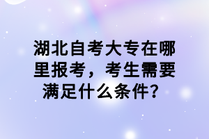 湖北自考大專在哪里報考，考生需要滿足什么條件？