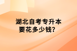 湖北自考專(zhuān)升本要花多少錢(qián)？